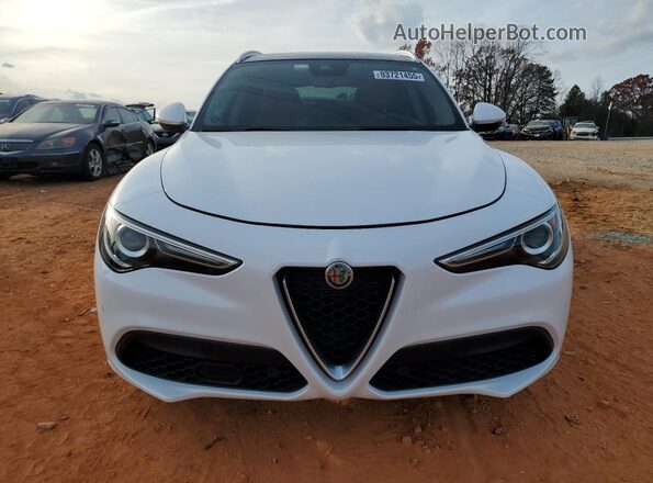 ZASPAKBN8M7D11762 2021 ALFA ROMEO STELVIO White Front view