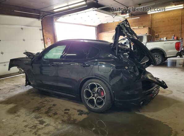 ZASPAKBN8R7D78045 2024 ALFA ROMEO STELVIO Черный Задняя левая четверть