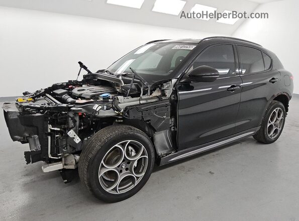ZASPAKBN9R7D75123 2024 ALFA ROMEO STELVIO Черный 