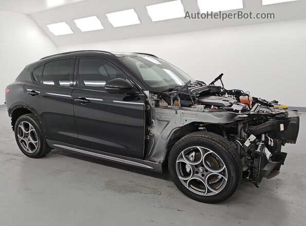 ZASPAKBN9R7D75123 2024 ALFA ROMEO STELVIO Черный 