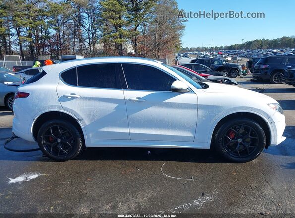 ZASPAKBNXL7C91996 2020 ALFA ROMEO STELVIO Белый Панорамный вид салона 360°