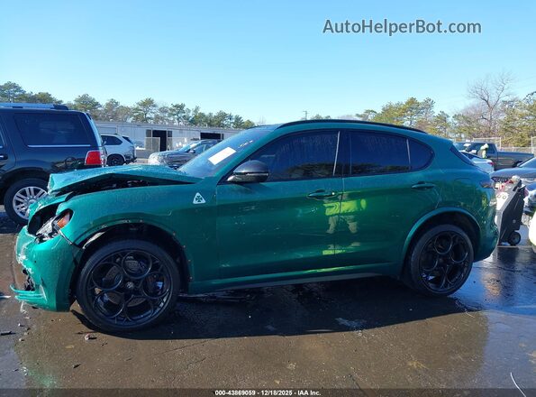 ZASPAKEV4R7D93444 2024 ALFA ROMEO STELVIO Зеленый Панорамный вид салона 360°