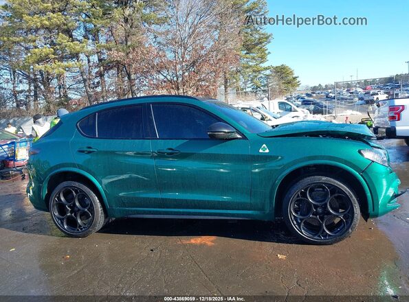 ZASPAKEV4R7D93444 2024 ALFA ROMEO STELVIO Зеленый Вид задней части салона