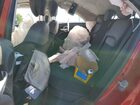 2016 Fiat 500x Easy Темно-бордовый vin: ZFBCFXBT2GP342761