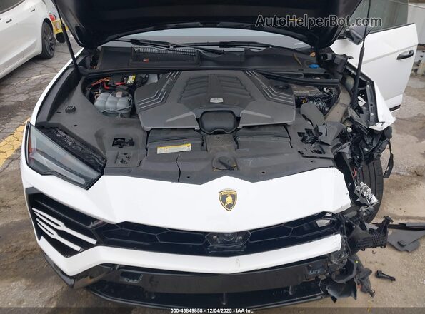 ZPBUA1ZL3KLA01106 2019 LAMBORGHINI URUS White Widok z tyłu