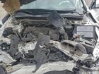 2016 Acura Tlx Белый vin: 19UUB1F34GA015951