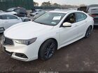 2020 Acura Tlx A-spec/a-spec W/red Leather White vin: 19UUB2F69LA004986
