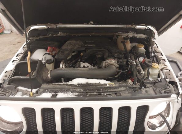 1C4HJXDG9KW660375 2019 JEEP WRANGLER UNLIMITED Белый Вид сзади