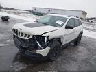 2019 Jeep Cherokee Trailhawk Elite 4x4 White vin: 1C4PJMBNXKD246545