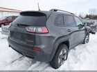 2019 Jeep Cherokee Trailhawk 4x4 Серый vin: 1C4PJMBX8KD188601