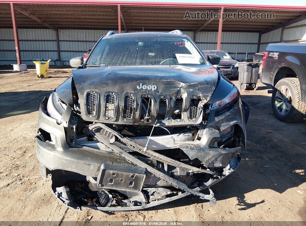 1C4PJMCS2GW105257 2016 JEEP CHEROKEE Green Vista interior trasera