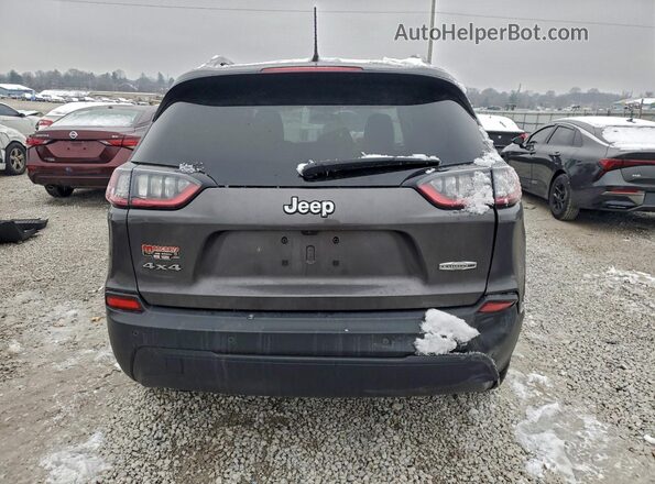 1C4PJMLBXLD641508 2020 JEEP CHEROKEE Серый Вид сзади