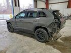 2023 Jeep Cherokee Altitude Lux Gray vin: 1C4PJMMB2PD100621