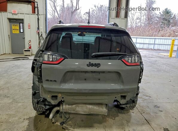 1C4PJMMB2PD100621 2023 JEEP CHEROKEE Gray უკანა ხედი
