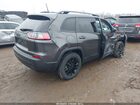 2023 Jeep Cherokee Altitude Lux 4x4 Gray vin: 1C4PJMMB5PD101407