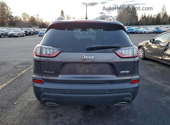 1C4PJMMX0MD142597 2021 JEEP CHEROKEE Серый Вид сзади