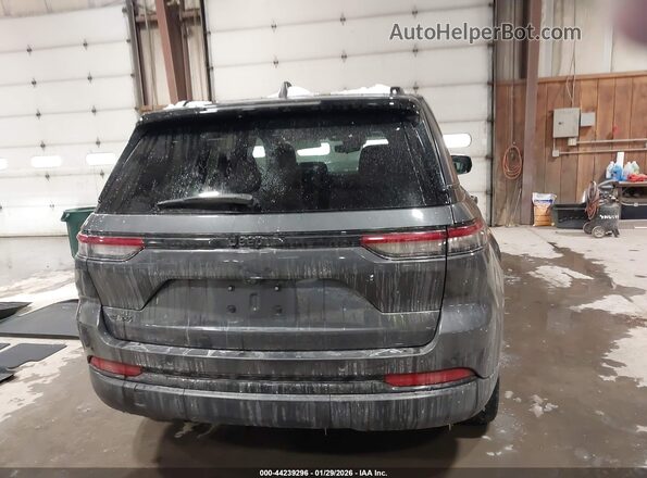 1C4RJHAG9RC716132 2024 JEEP GRAND CHEROKEE Серый 