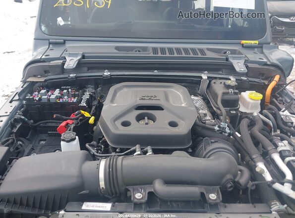 1C4RJXP6XRW203754 2024 JEEP WRANGLER Серый Вид сзади