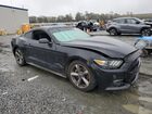 2016 Ford Mustang Black vin: 1FA6P8AM0G5288966