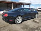 2017 Ford Mustang Черный vin: 1FA6P8AM7H5346153