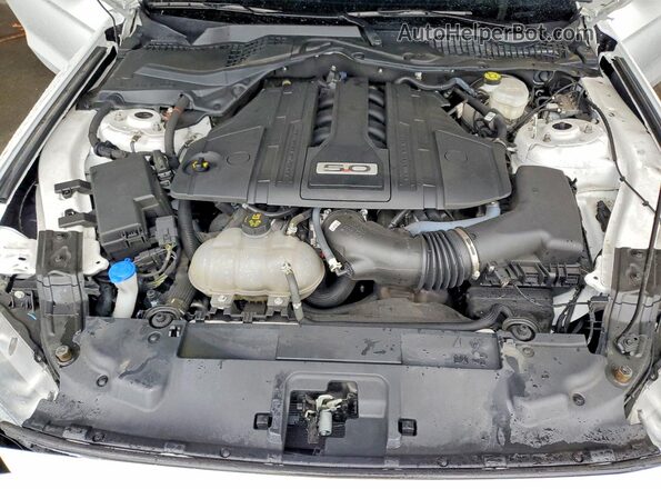 1FA6P8CF1P5307149 2023 FORD MUSTANG Белый Вид задней части салона