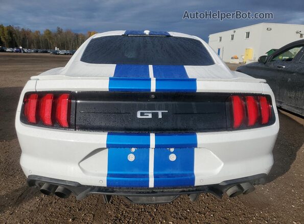 1FA6P8CF2K5162907 2019 FORD MUSTANG Белый Вид сзади
