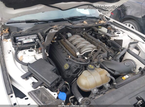 1FA6P8CF7H5272912 2017 FORD MUSTANG Белый Вид сзади