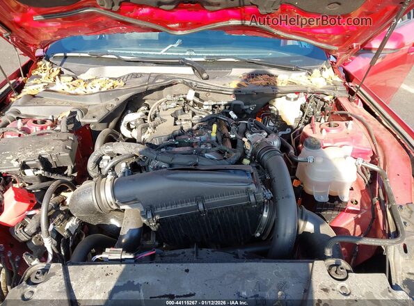1FA6P8TH0R5130145 2024 FORD MUSTANG Красный Вид сзади