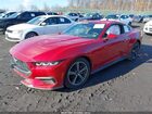 2024 Ford Mustang Ecoboost Premium Fastback Красный vin: 1FA6P8TH0R5130145