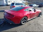 2024 Ford Mustang Ecoboost Premium Fastback Красный vin: 1FA6P8TH0R5130145