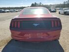 2016 Ford Mustang Красный vin: 1FA6P8TH3G5236649