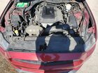 2016 Ford Mustang Красный vin: 1FA6P8TH3G5236649