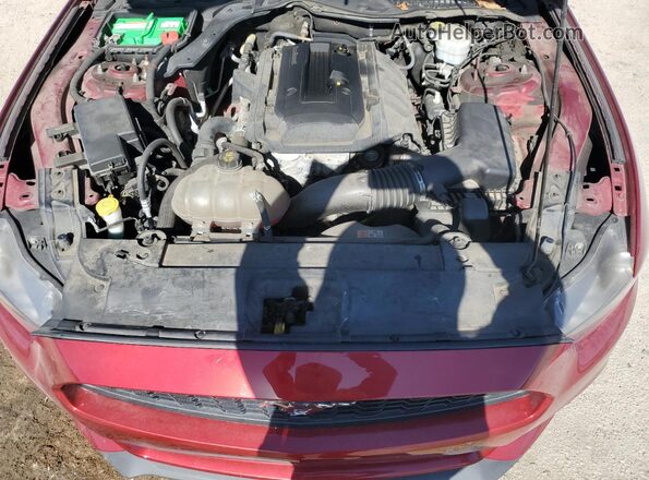 1FA6P8TH3G5236649 2016 FORD MUSTANG Красный Вид задней части салона