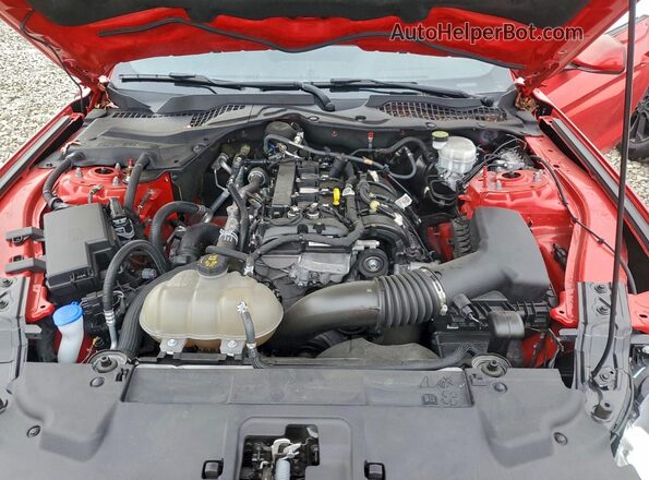 1FA6P8TH5N5145976 2022 FORD MUSTANG Красный Вид задней части салона