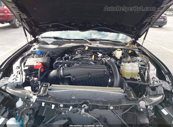 1FA6P8TH7T5109557 2026 FORD MUSTANG Черный Вид сзади