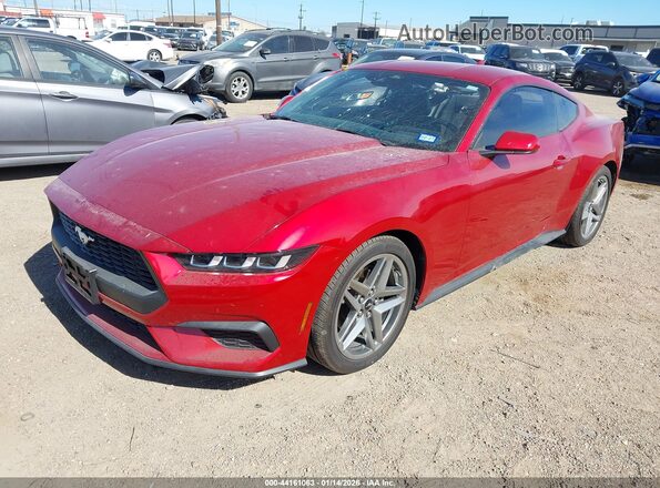 1FA6P8TH9R5141208 2024 FORD MUSTANG Красный Передняя левая четверть