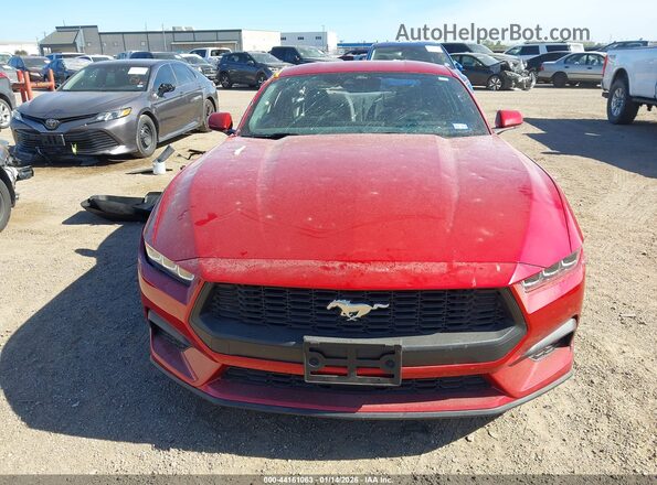 1FA6P8TH9R5141208 2024 FORD MUSTANG Красный Вид задней части салона