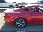 2024 Ford Mustang Ecoboost Fastback Красный vin: 1FA6P8TH9R5141208