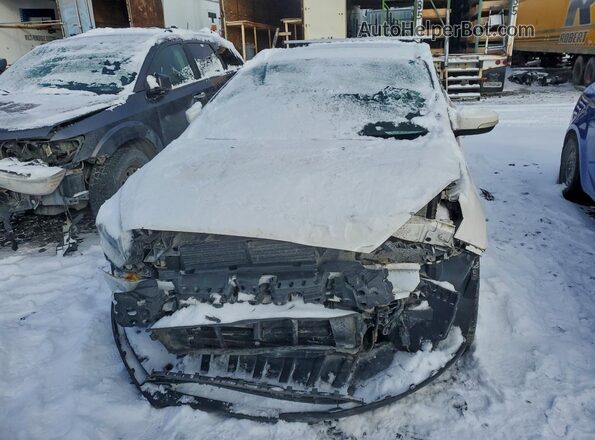 1FADP3J24GL303652 2016 FORD FOCUS White Front view