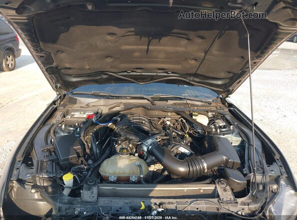 1FATP8EM8G5304411 2016 FORD MUSTANG Серый Вид сзади