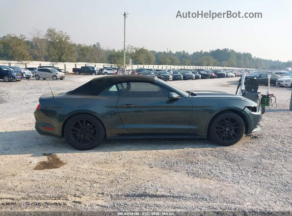 1FATP8EM8G5304411 2016 FORD MUSTANG Серый Панорамный вид салона 360°