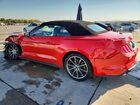 2019 Ford Mustang Красный vin: 1FATP8UH9K5159876