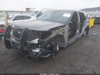 2020 Ford Police Interceptor Utility   Серый vin: 1FM5K8AC4LGA55503