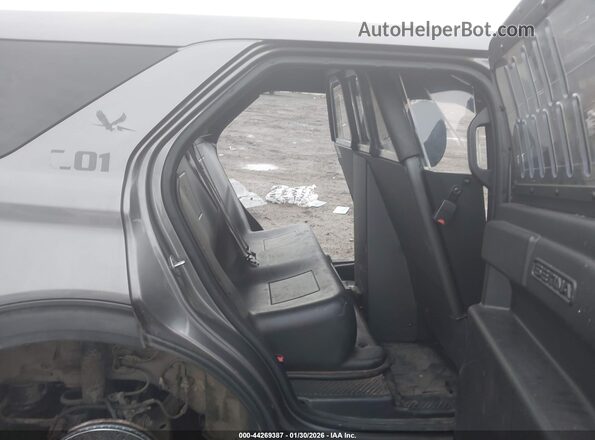 1FM5K8AC4LGA55503 2020 FORD POLICE INTERCEPTOR Серый Вид наклейки с VIN-кодом