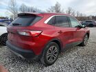 2022 Ford Escape Red vin: 1FMCU0H67NUB07164
