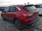 2022 Ford Escape Red vin: 1FMCU0H67NUB07164