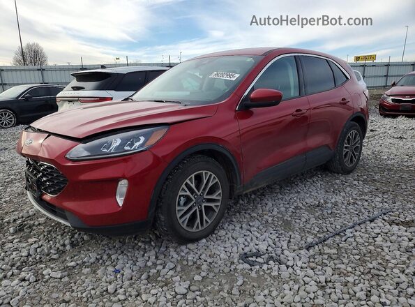 1FMCU0H67NUB07164 2022 FORD ESCAPE Red Vista tres cuartos delantera izquierda