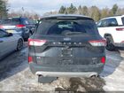 2021 Ford Escape Se Hybrid Black vin: 1FMCU9BZ4MUB05331
