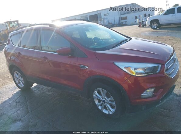 1FMCU9GD2JUB95152 2018 FORD ESCAPE Красный Вид задней части салона