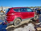 2019 Ford Escape Se Red vin: 1FMCU9GD2KUA84053